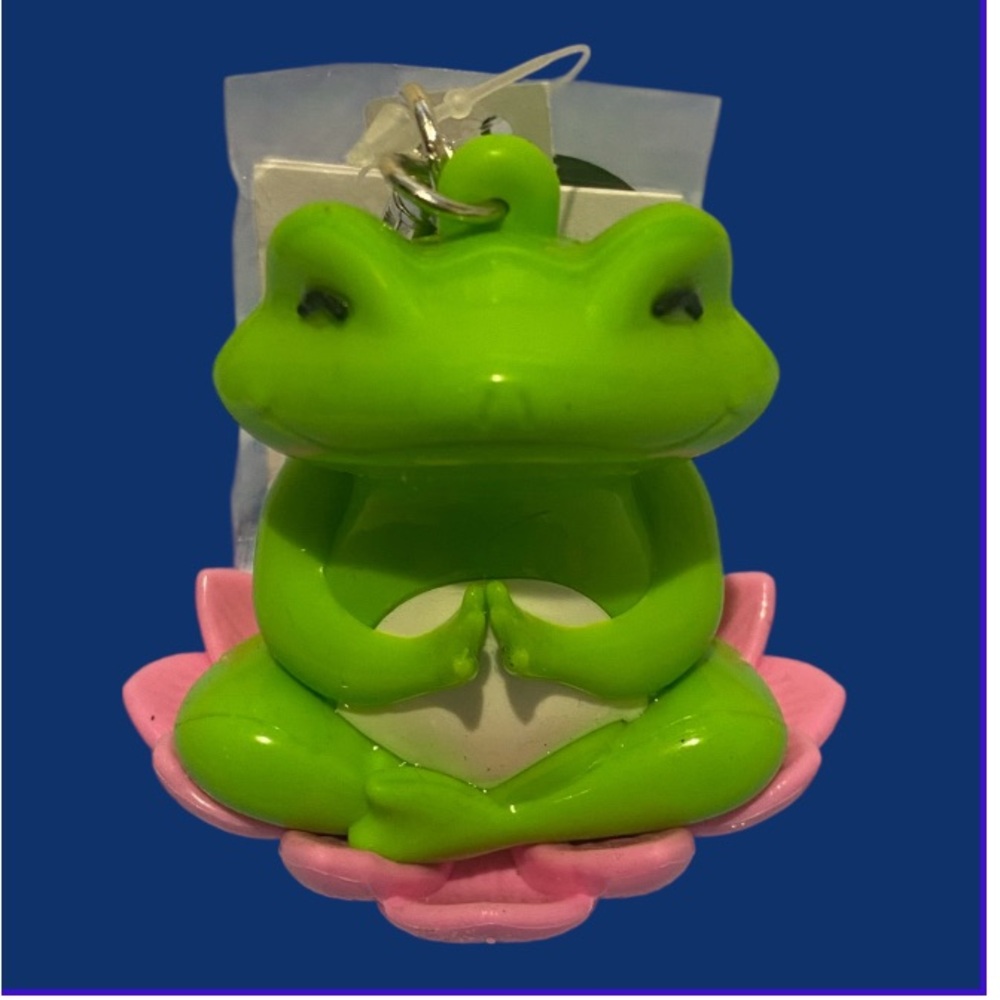 Green and Pink Frog hand sanitizer holder